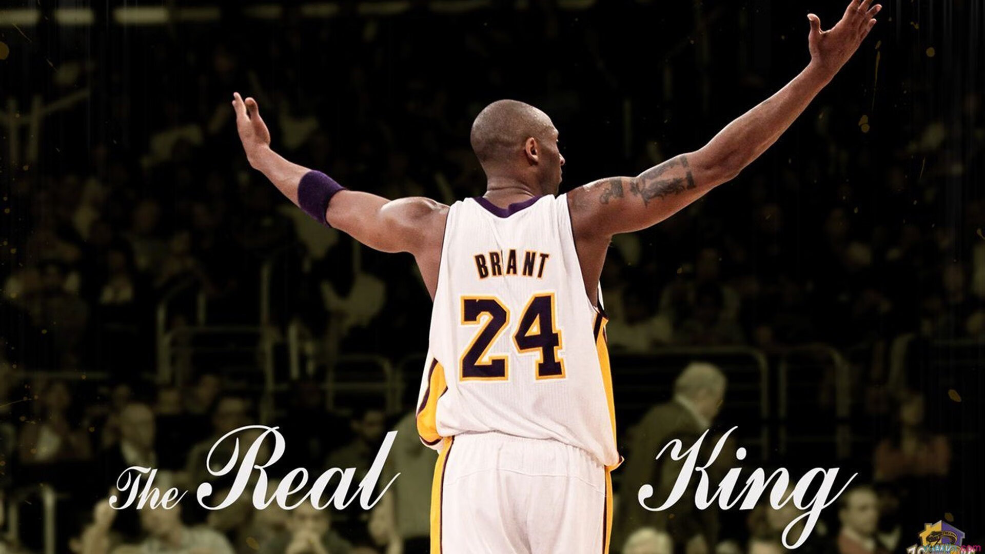 九游电竞中心-体育大数据在职业运动员培养中的实用性研究，体育大数据应用的市场机会